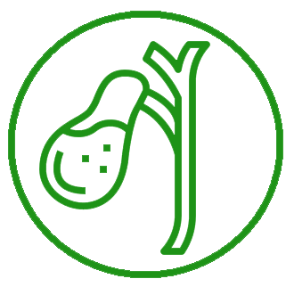 Діагностика та лікування холециститу logo